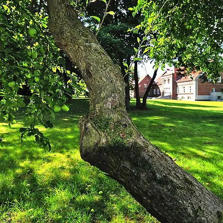 Gutshaus In Garz Casa de Férias