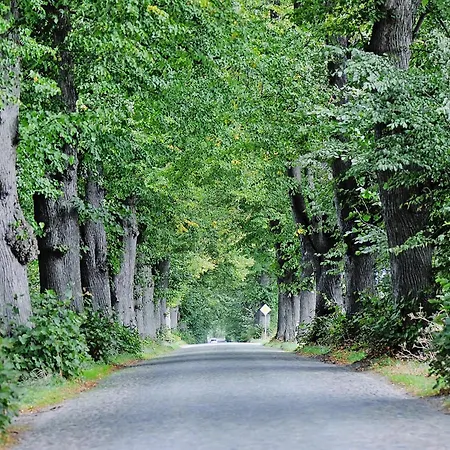 Casa de Férias Gutshaus In Garz