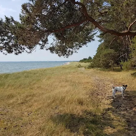 Casa de Férias Gutshaus In Garz