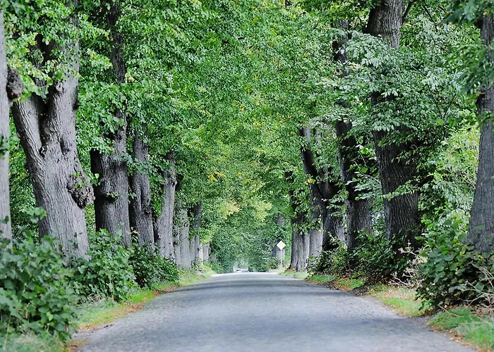 別荘 Gutshaus In Garz