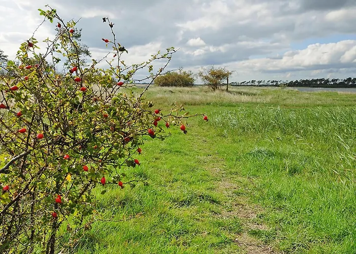 Gutshaus In Garz * Zicker
