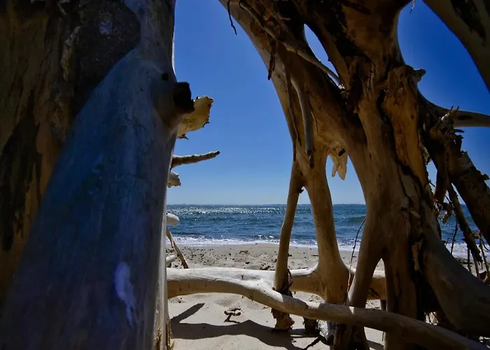 別荘 Gutshaus In Garz *