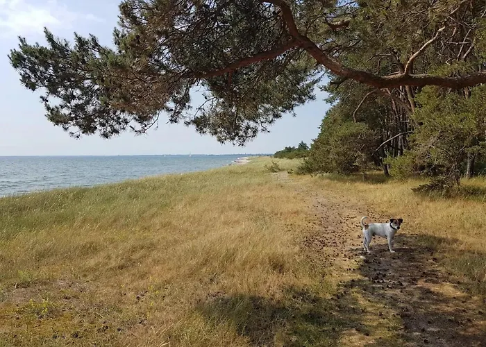 別荘 Gutshaus In Garz